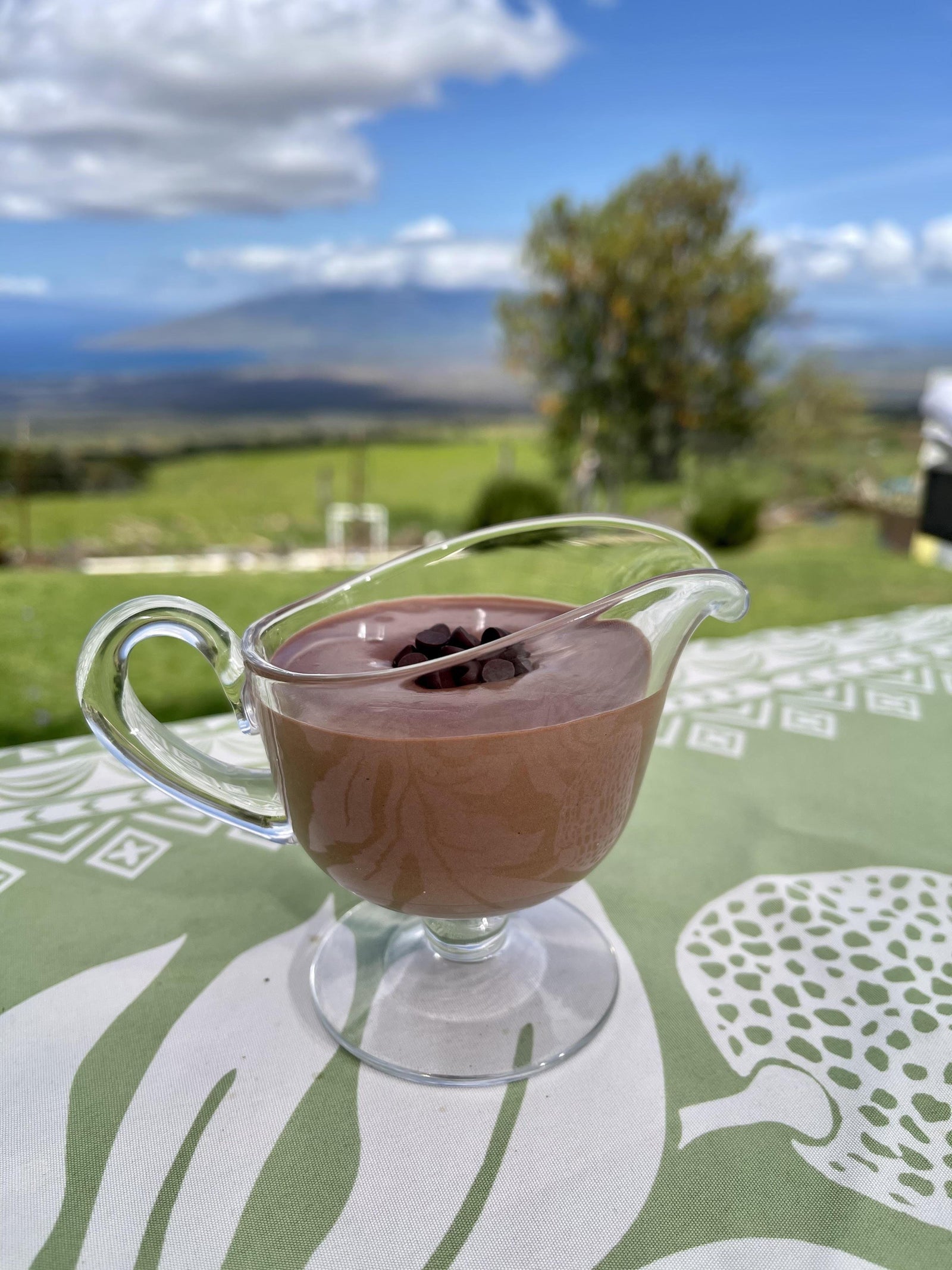 Everyone's Favorite Chocolate Mousse-Maui Kuʻia Estate Chocolate
