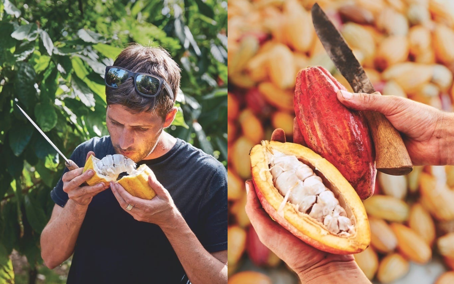 Hana Hou! Magazine: The Connoisseur of Cacao-Maui Kuʻia Estate Chocolate