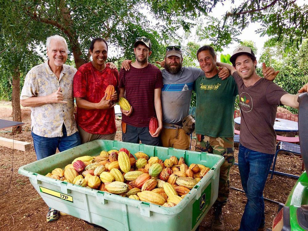 Maui No Ka Oi Magazine: First Maui Cacao Harvest-Maui Kuʻia Estate Chocolate