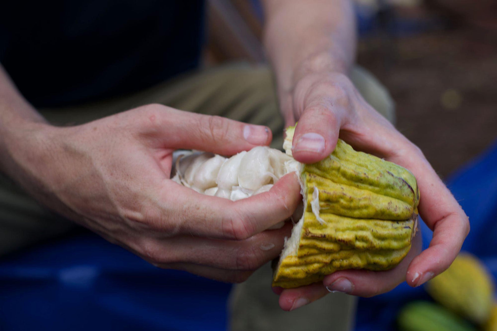 The Maui News: 6 county companies receive grants-Maui Kuʻia Estate Chocolate