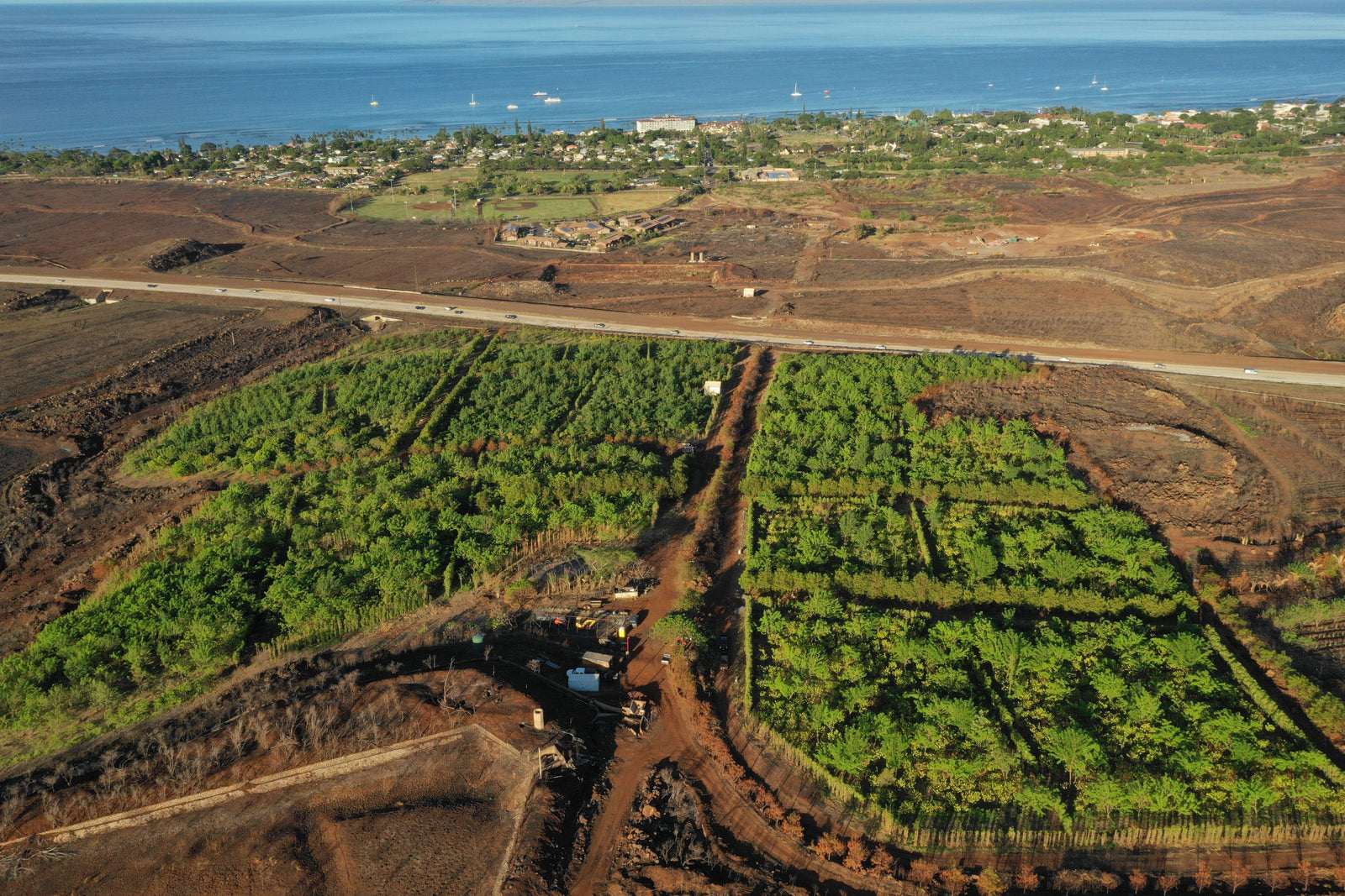 Winnipeg Free Press: Magical Maui-Maui Kuʻia Estate Chocolate