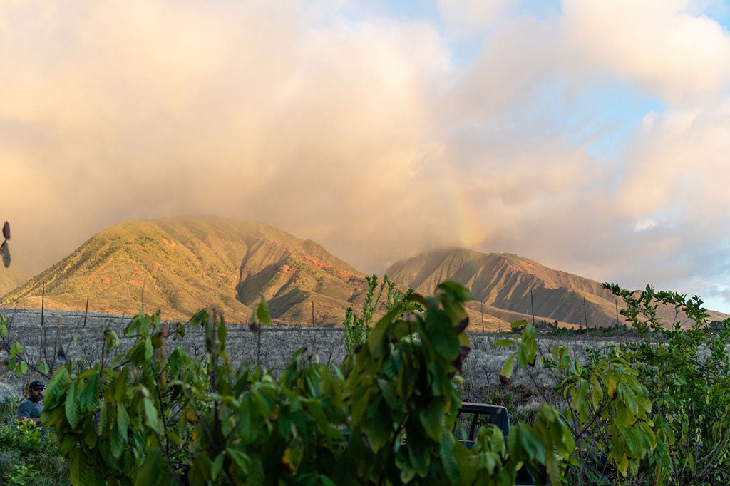 Maui Ku'ia Estate cacao farm and West Maui Mountains