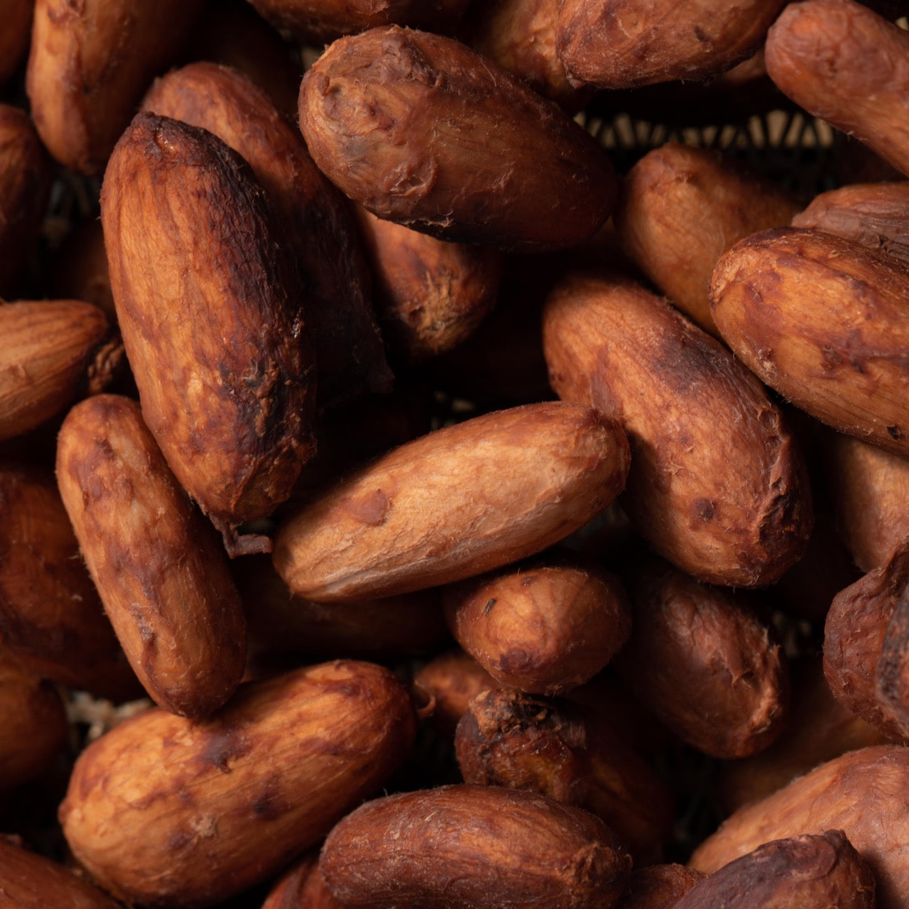 Maui grown cacao beans