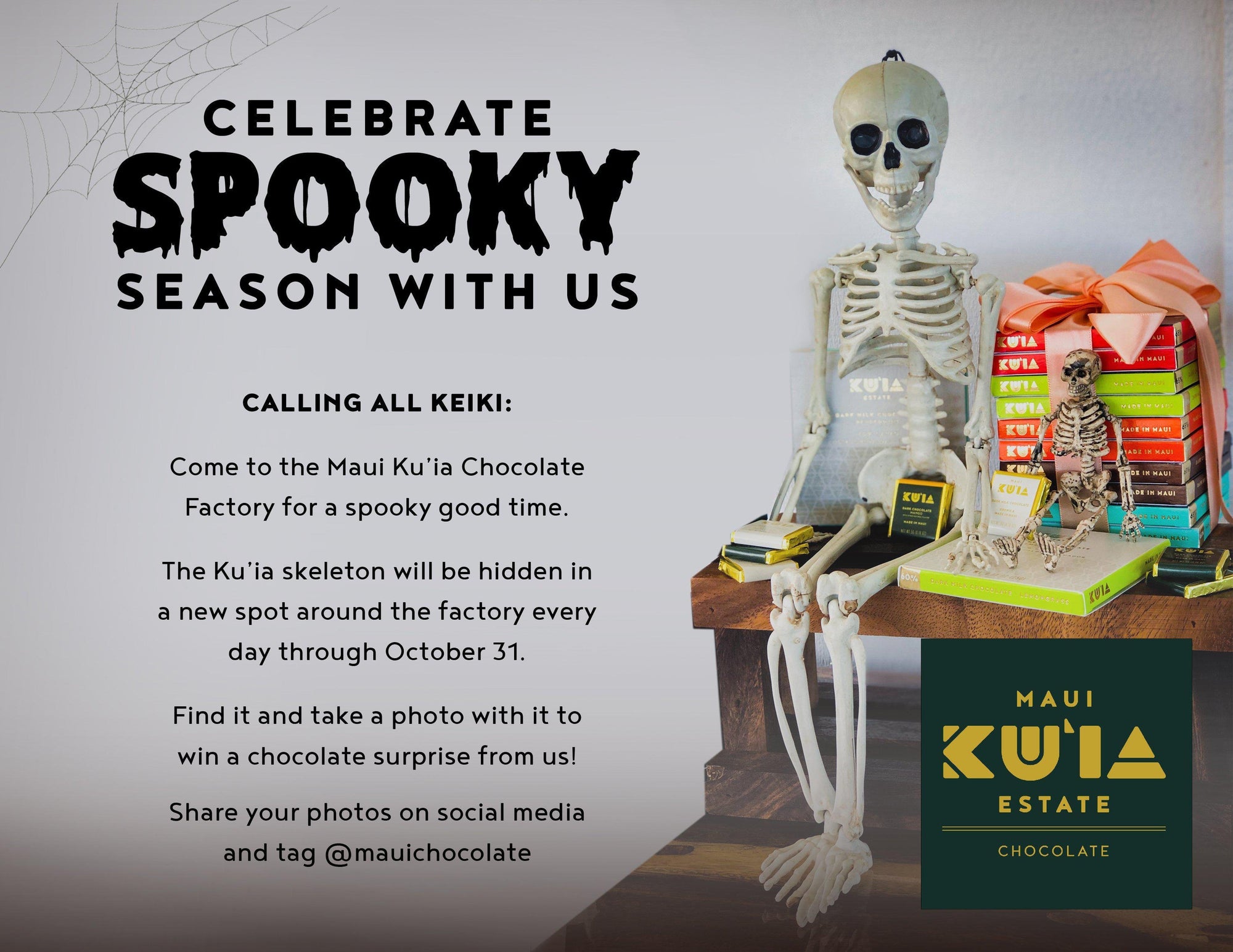 It's Spooky Season at the Chocolate Factory!-Maui Kuʻia Estate Chocolate