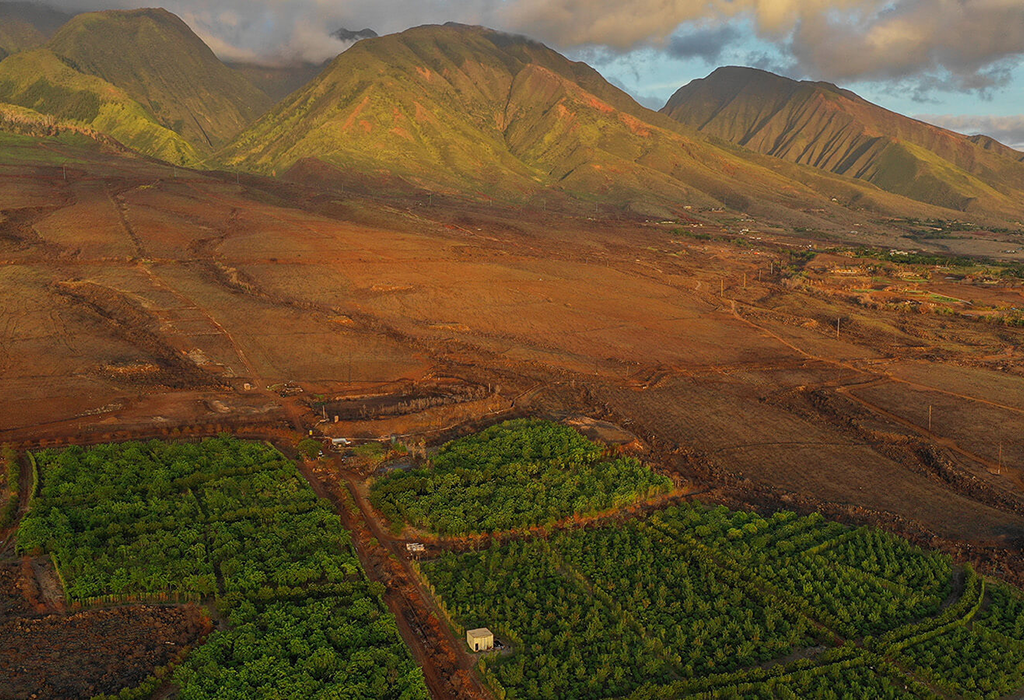 Maui Ku'ia Estate Chocolate cacao farm and West Maui Mountains