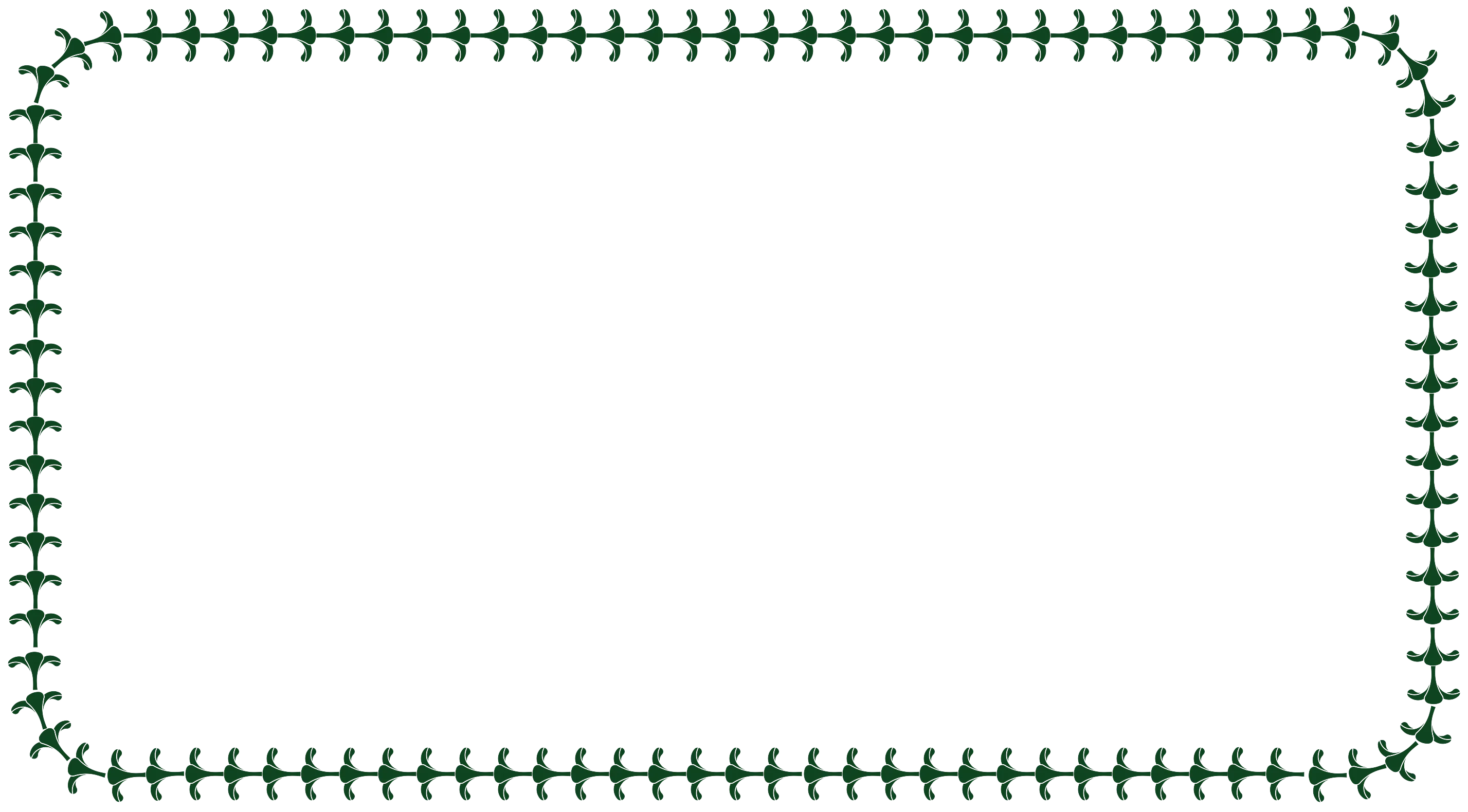 LEI BORDER